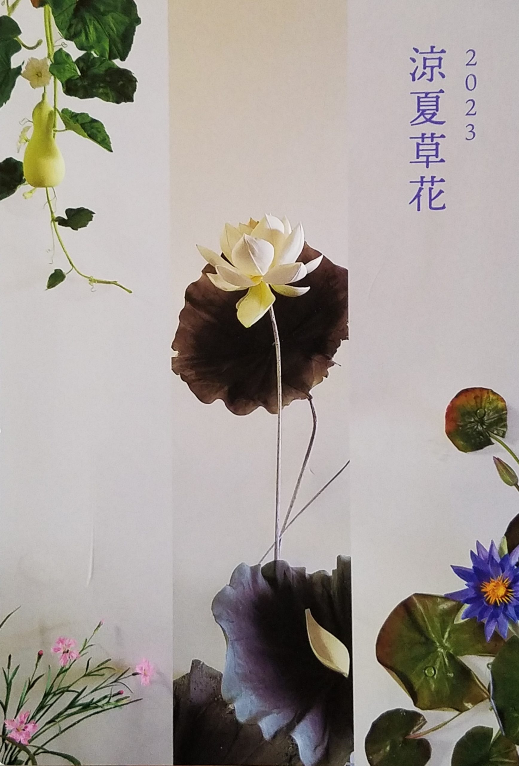 佐助カフェで出展した「涼夏草花 2023」の展示イメージ1