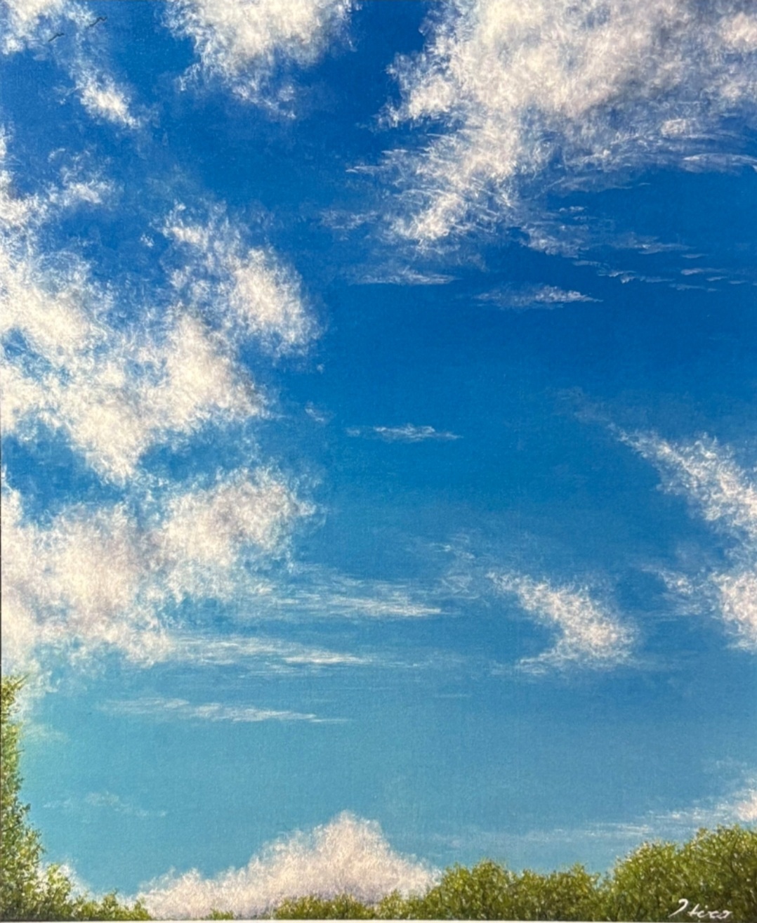 佐助カフェで出展した「HIRO ART SOLO EXHIBITION「空のちから」」の展示イメージ1
